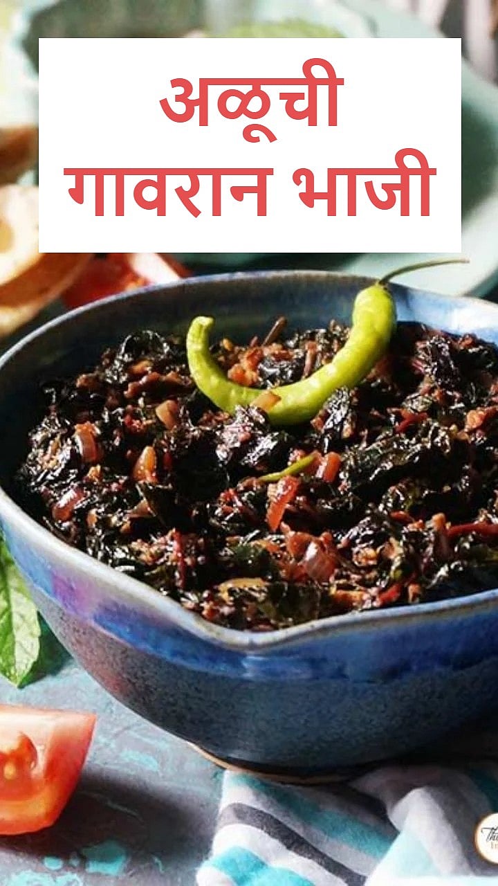 Aluchi Bhaji : पालक शेपू कशाला? अळूची गावरान भाजी एकदा नक्की ट्राय करा ...