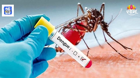 Dengue News: जळगावमध्ये डेंग्यूचा उद्रेक!  जिल्ह्यात १९३ संशयित रुग्ण, ८१ पॉझिटिव्ह आढळले