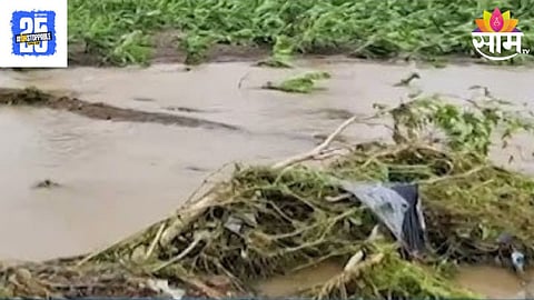Jalgaon Heavy Rain 