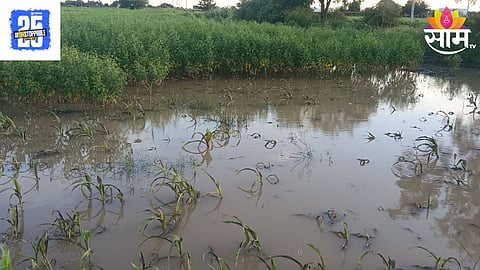 Sangli Rain