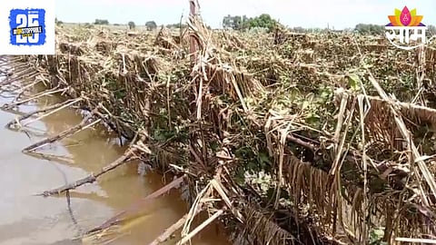 Madha Flood