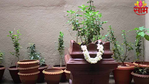 Tulsi Plant Vastu Tips