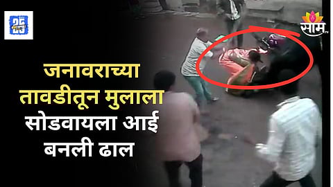 Stray Animal Attack : मुलासाठी आई बनली ढाल! मोकाट जनावराने मुलाला पायदळी तुडवलं, पण मातेनं वाचवले प्राण, घटना CCTVत कैद