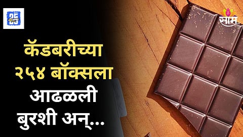Consumer Awareness : नियम पाळले नाहीत, कॅडबरीच्या २५४ बॉक्समध्ये बुरशी; अन्न औषध प्रशासनाची धडक कारवाई
