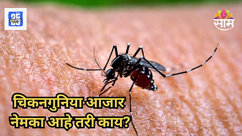 Chikungunya