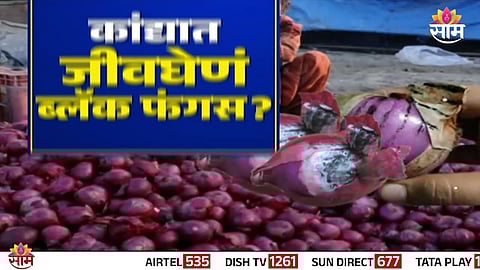 Experts clarify black fungus on onion is not fatal cooking destroys the fungus and makes onion safe to eat.