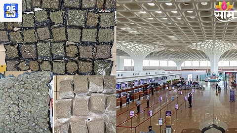MUMBAI AIRPORT CUSTOMS SEIZES HYDROPONIC MARIJUANA WORTH ₹34 CRORE, 5 ARRESTED