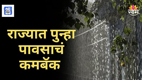 Maharashtra Rain Alert : महाराष्ट्रात पुन्हा पावसाची चिन्हं! हवामान खात्याचा ११ जिल्ह्यांना इशारा