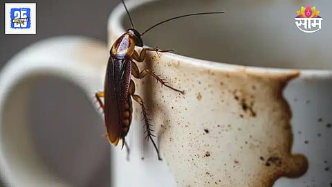 Cockroaches in coffee viral video