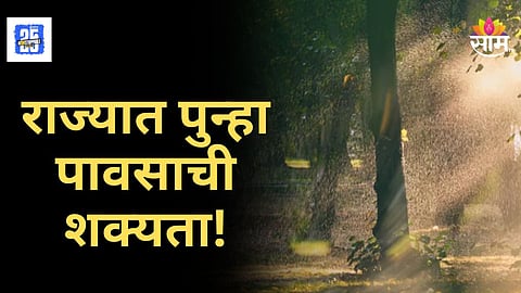Maharashtra Rain Alert : राज्यातील काही जिल्ह्यांना यल्लो अलर्ट, जाणून घ्या कुठे कसा पडणार पाऊस