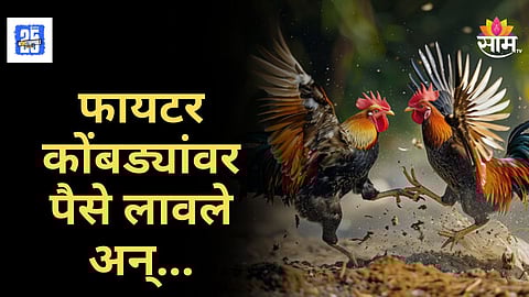 Crime News : जुगाराचा नवा फंडा! फायटर कोंबड्यांची झुंज लावून पैशांचा खेळ, पोलिसांची मोठी कारवाई
