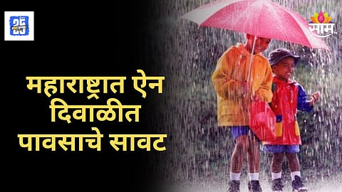 Maharashtra Rain Alert : राज्यात पावसाची उघडीप, 'या' जिल्ह्यांना पावसाचा यलो अलर्ट