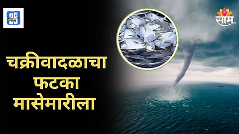 Cyclone Alert : चक्रीवादळाचं देशात थैमान, मच्छिमारांना मोठा फटका, IMD चा काय आहे इशारा ?