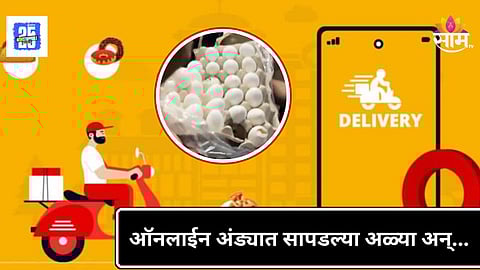 Online Food Delivery Scam : संतापजनक! ऑनलाई मागवलेल्या अंड्यांमध्ये आढळल्या अळ्या, विरारमध्ये नेमकं काय घडलं?