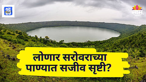 Buldhana : लोणार सरोवराच्या पाण्यात निर्माण झाली सजीव सृष्टी, पर्यावरणासह मानवलाही धोका?