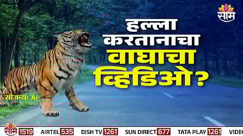 Viral video claiming a tiger lifted a forest guard in Chandrapur was AI-generated, confirms forest officials.