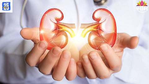 5 EARLY SIGNS OF KIDNEY DAMAGE AND HOW TO PREVENT DISEASE