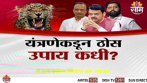 Women in Shirur wear nail-studded collars while working in fields to protect themselves from leopard attacks.