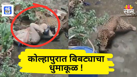 Kolhapur : कोल्हापुरात बिबट्याचा धुमाकूळ! ऑन ड्युटी पोलिसावर हल्ला, रेस्क्यूचा थरार कॅमेऱ्यात कैद