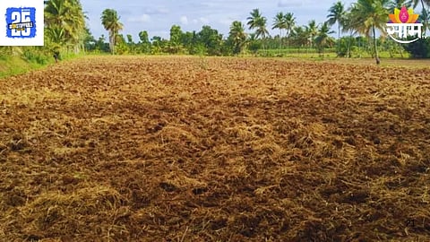 Agricultural Land Encroaches: 