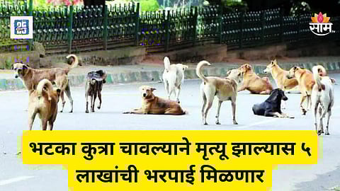 भटका कुत्रा चावल्याने मृत्यू झाल्यास पीडित कुटुंबीयांना मिळणार ५ लाखांची भरपाई, सरकारचा मोठा निर्णय