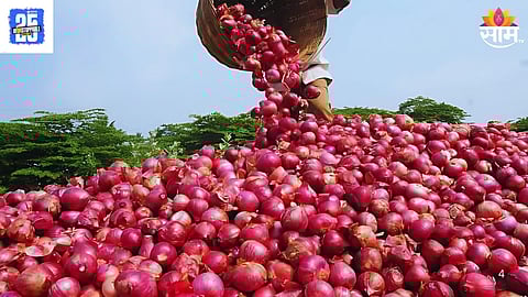 Onion Imports Export Restrictions:  