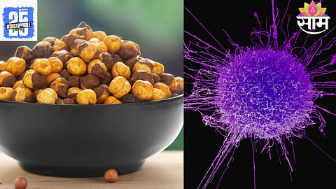 Adulterated Roasted Gram