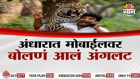 The spot near Narayangaon where a leopard attacked an 18-year-old boy while he was talking on his mobile at night.