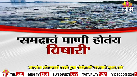Ocean water turning acidic could make your favorite fish and seafood disappear.