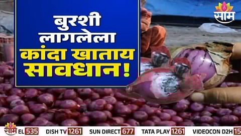 can we eat onion with black fungus after washing