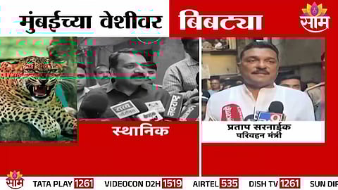 Forest officials rescue and capture a leopard after it entered a residential building in Mira Bhayandar, triggering panic among residents.