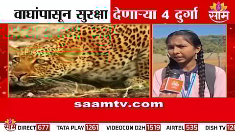 Brave women from Sitaram Peth escort schoolchildren through forest routes amid wildlife threats in Chandrapur.