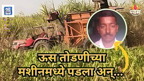 Latur : हार्वेस्टरमध्ये ऊस टाकताना तोल गेला, मशीनमध्ये अडकून शरीराचे तुकडे तुकडे झाले, लातूरमध्ये शेतकऱ्याचा मृत्यू