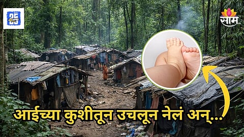 Nagpur : झोपेत आईच्या कुशीतून उचलले, छाती आणि दोन्ही हात खाल्ले; नागपुरात प्राण्याच्या हल्ल्यात ८ महिन्यांच्या चिमुकलीचा मृत्यू