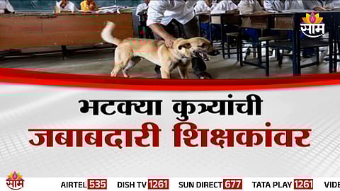 Teachers monitor stray dogs inside a school campus after Amravati Education Department issues a controversial order assigning them surveillance responsibility.