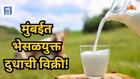 Mumbai : मुंबईकरांनो सावधान! दूध भेसळ करणाऱ्या रॅकेटचा पर्दाफाश, नामांकित कंपनीच्या पिशव्यांचा वापर