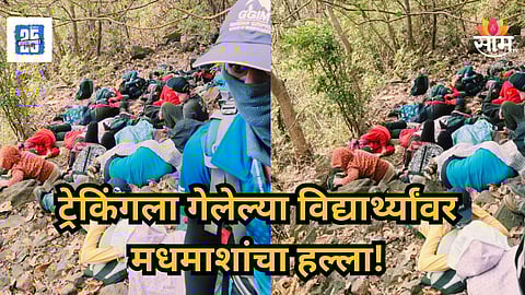 Pune : ट्रेकिंगला गेलेल्या विद्यार्थ्यांवर मधमाशांचा हल्ला, ३५ विद्यार्थी गंभीर जखमी; रायगडावरील थरकाप उडवणारी घटना