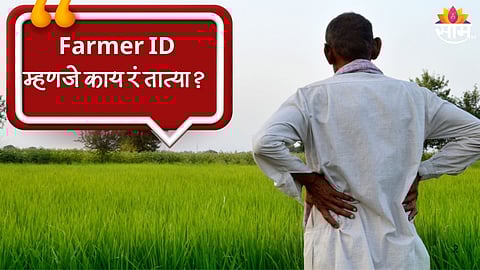 Farmer ID 