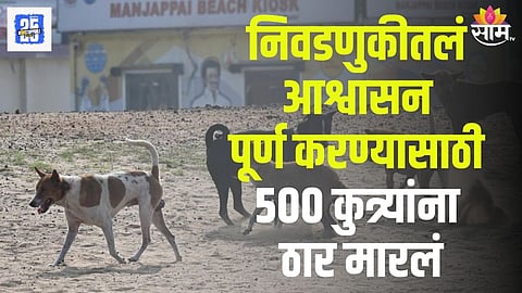 Telangana 500 Dog Killing Case