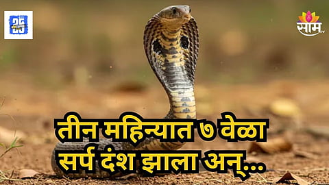 Jalna Ambad Girl Bitten By Snake Seven Times In Three Months