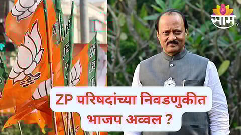 zp election exit poll 