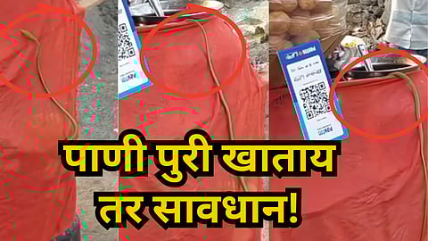 Viral Video : सावधान! मुंबईत पाणी पुरीच्या ठेल्यावर आढळला साप, व्हिडिओ पाहून थरकाप उडेल
