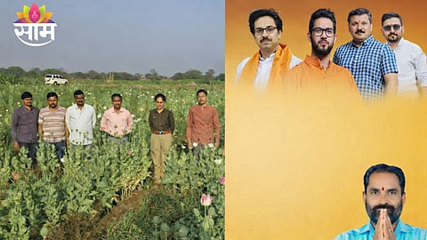 Police officers inspect poppy plants seized from an onion farm in Washi taluka of Dharashiv district.