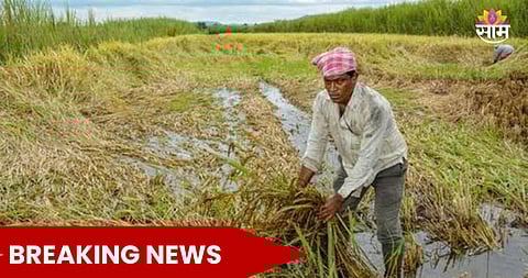 Maharashtra farm loan waiver latest update 2026