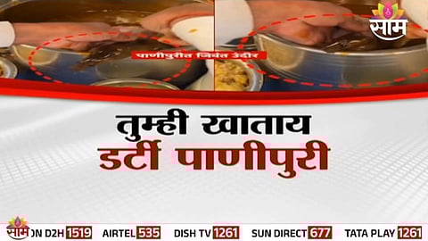 Panipuri: तुमच्या पाणीपुरीत चक्क जिवंत उंदीर, फूड ब्लॉगरच्या VIDEO ने खळबळ