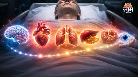 Which Organ Fails First When a Person Dies