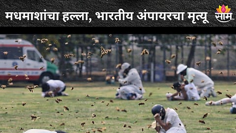 क्रिकेट सामन्यावेळी मधमाशांचा हल्ला, भारतीय पंचांचा मृत्यू