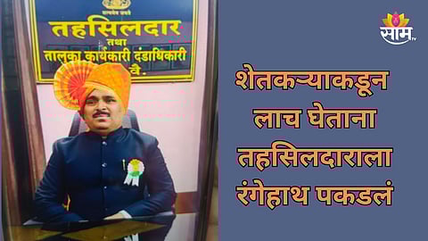 Beed: बीडमध्ये ACB ची मोठी कारवाई, शेतकऱ्याकडून लाच घेताना तहसिलदाराला रंगेहाथ पकडलं
