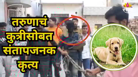 Dog Abuse Case : विकृतीचा कळस! तरुणाचा कुत्रीवर बलात्कार, आरोपीच्या तोंडाला काळं फासलं, चपलांचा हार घालून धिंड काढली