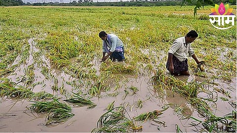 Maharashtra government announces ₹2 lakh farm loan waiver to provide relief to debt-ridden farmers